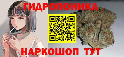 индика Краснокаменск