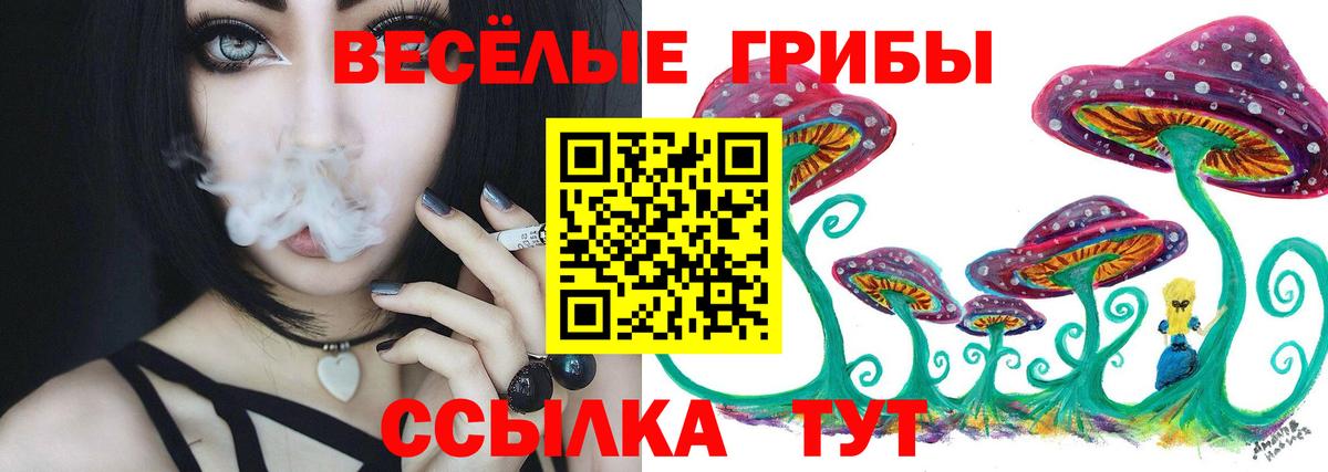 Коряжма  Псилоцибиновые грибы MAGIC MUSHROOMS  Вход с VPN 